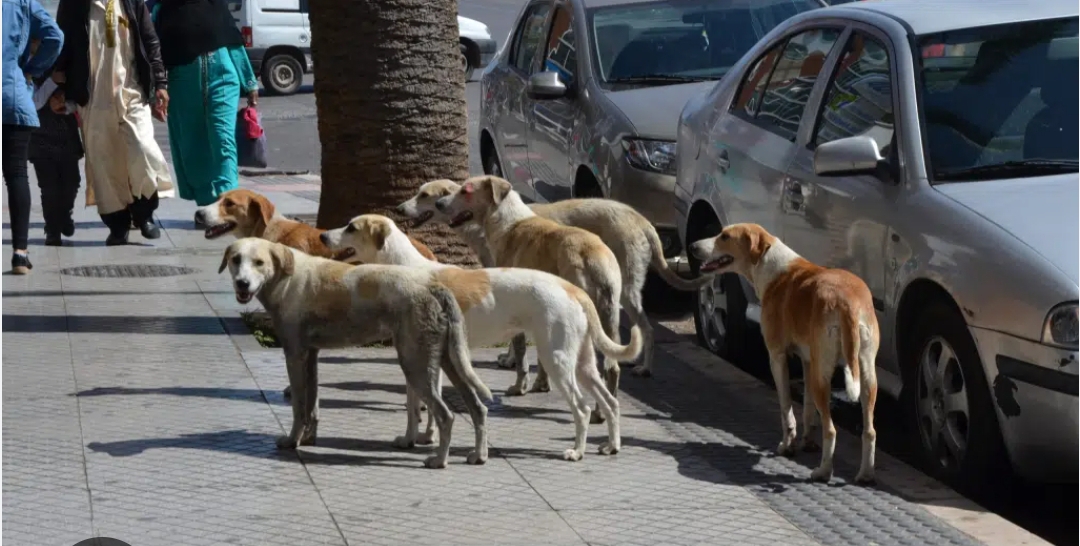 Screenshot_20251018-124925